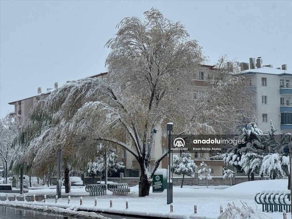 Aksaray'da kar yağışı