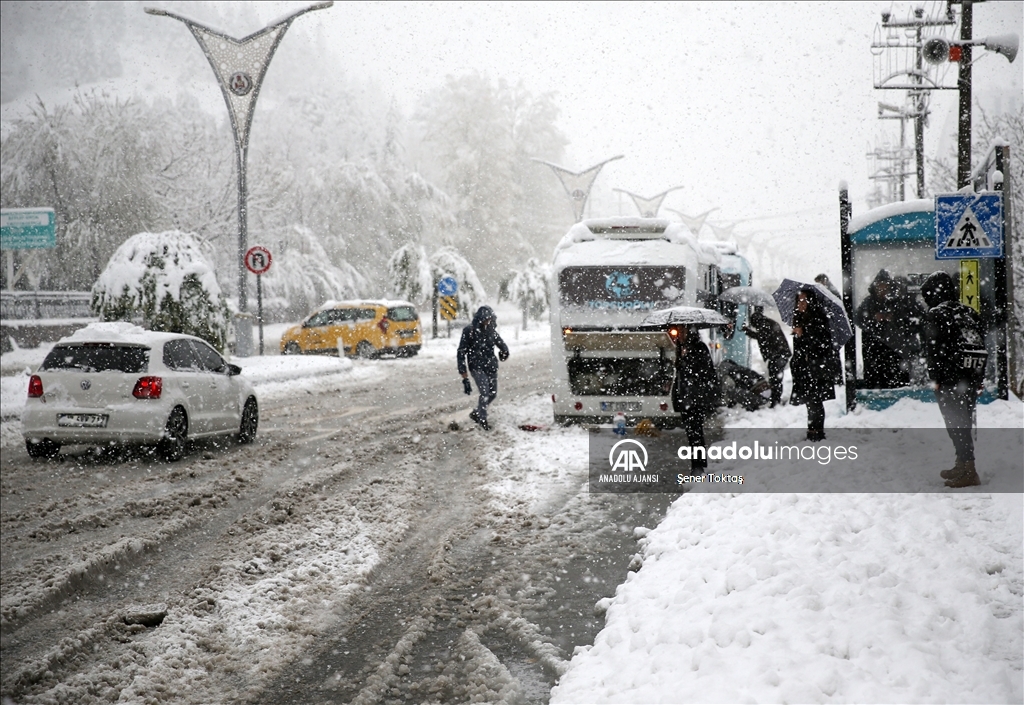 Bitlis'te kar yağışı etkili oldu