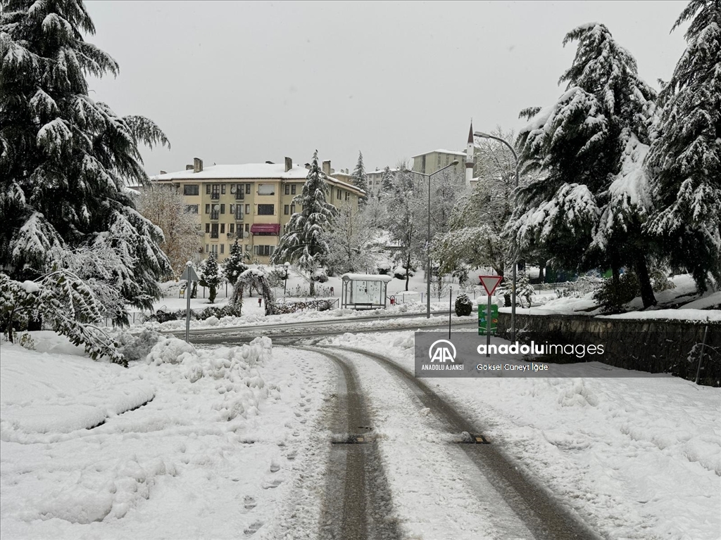 Düzce'de kar yağışı