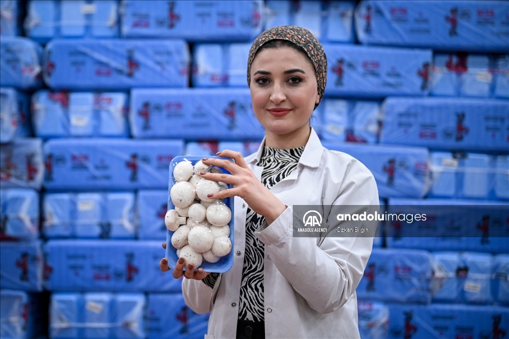 Karîyên li tesîsa lê tenê jin dixebitin tên hilberandin, dişînin 48 bajaran