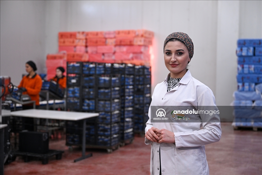 Karîyên li tesîsa lê tenê jin dixebitin tên hilberandin, dişînin 48 bajaran