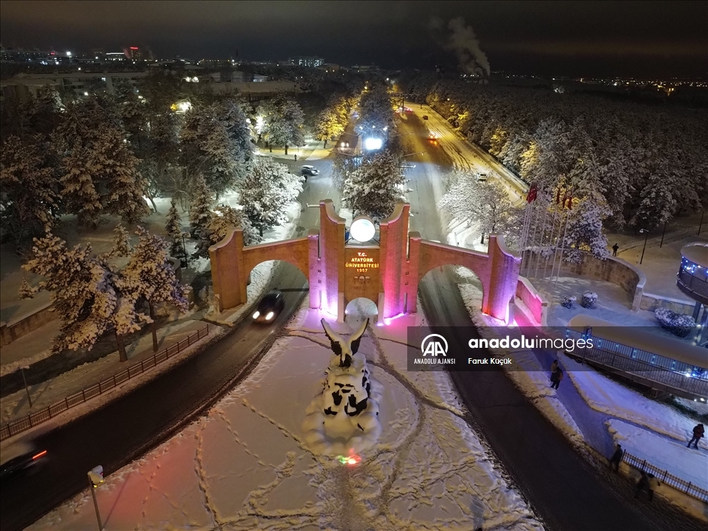 Erzurum'da kar yağışı