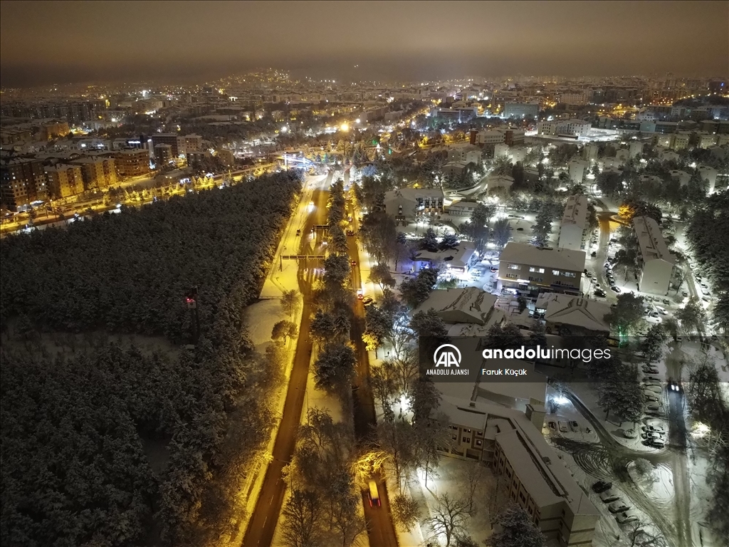 Erzurum'da kar yağışı