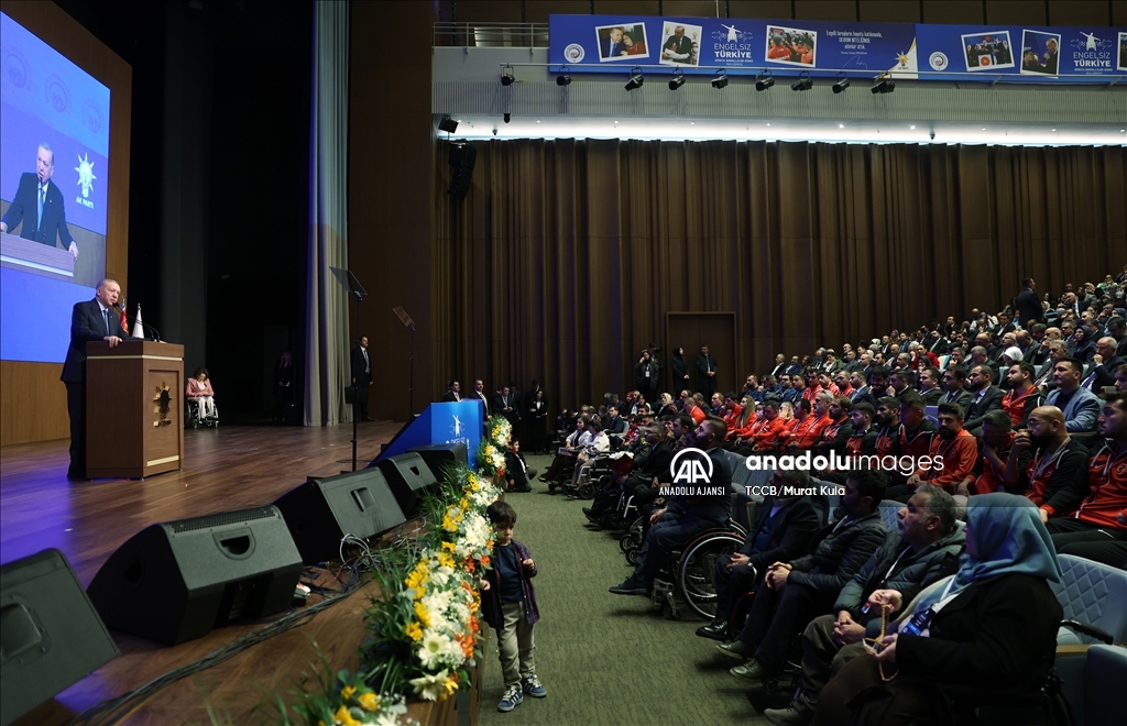 Engelsiz Türkiye Programı