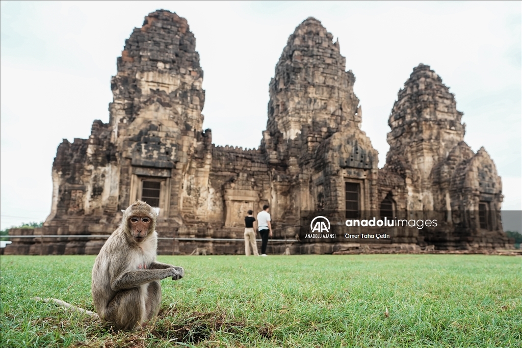 Lopburi şehrinin simgesi maymunlar