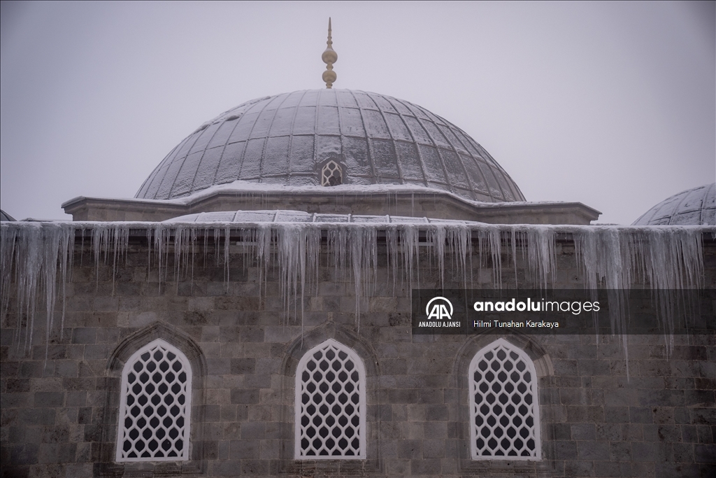 Erzurum'da kar yağışı