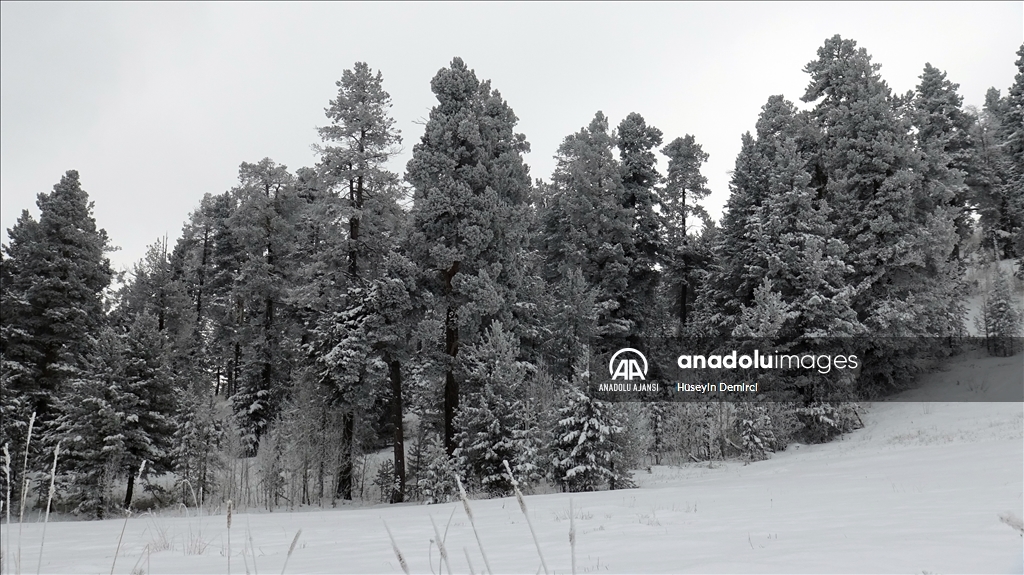 Kars yeniden beyaza büründü