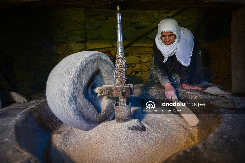 150 yıllık değirmende pirinç üretimi
