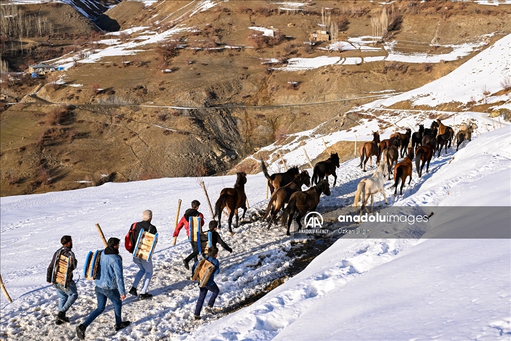 Youngsters from Bahcesaray district of Van turn the plateau road into a ski slope with their sleds