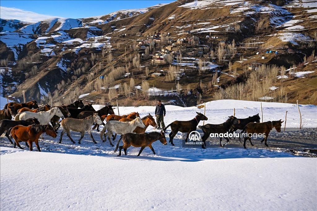 Youngsters from Bahcesaray district of Van turn the plateau road into a ski slope with their sleds