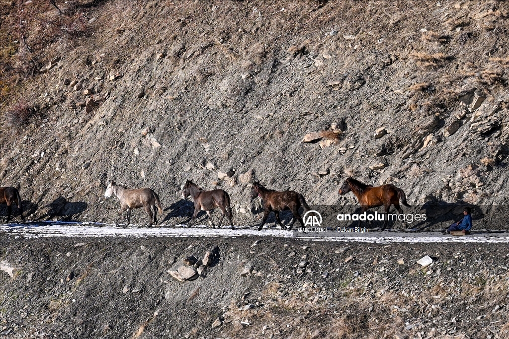 Youngsters from Bahcesaray district of Van turn the plateau road into a ski slope with their sleds