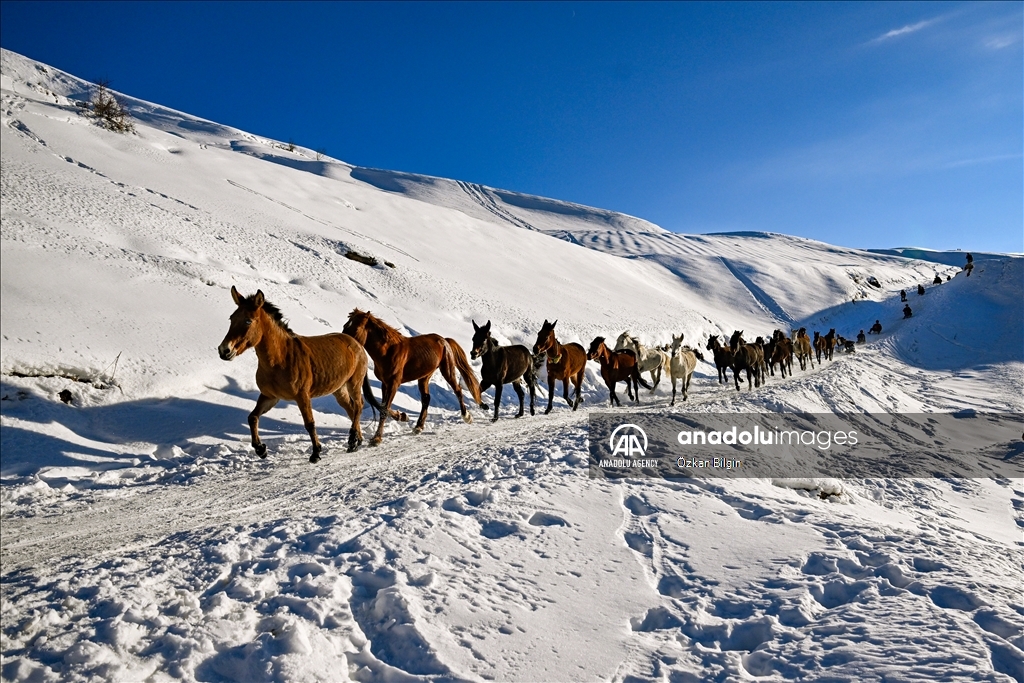 Youngsters from Bahcesaray district of Van turn the plateau road into a ski slope with their sleds