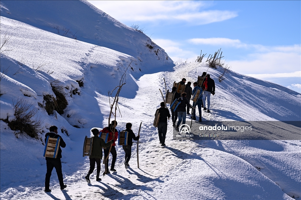 Youngsters from Bahcesaray district of Van turn the plateau road into a ski slope with their sleds