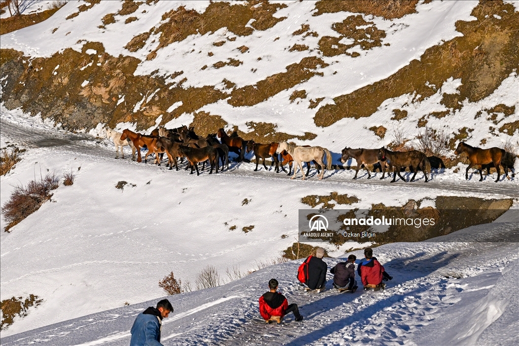 Youngsters from Bahcesaray district of Van turn the plateau road into a ski slope with their sleds