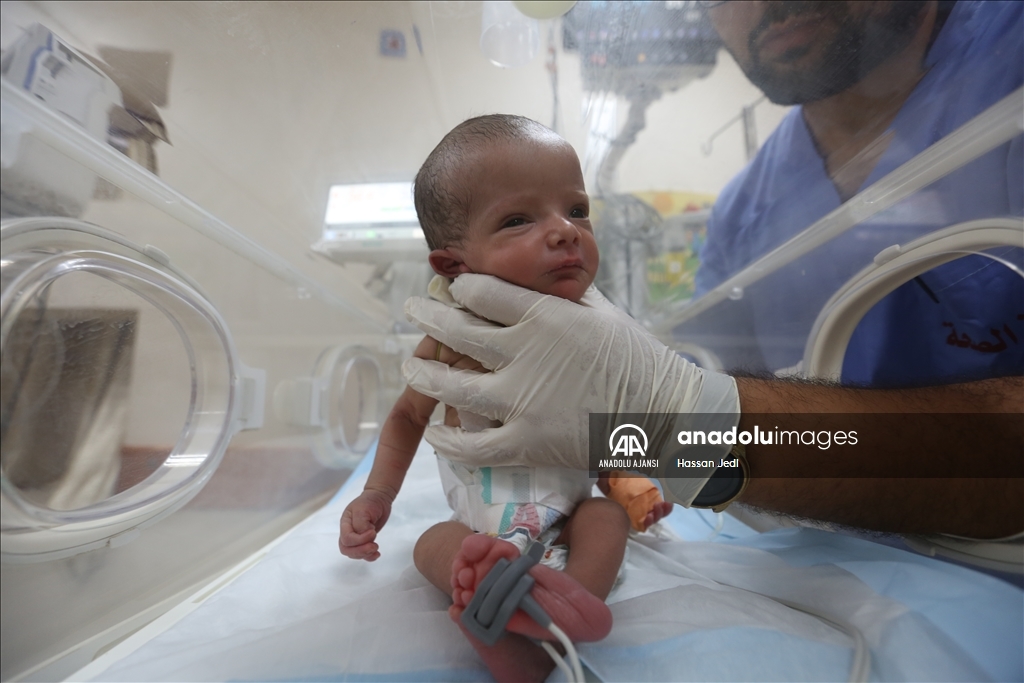 İsrail saldırıları altındaki Gazze'de prematüre bebekler yaşam mücadelesi veriyor