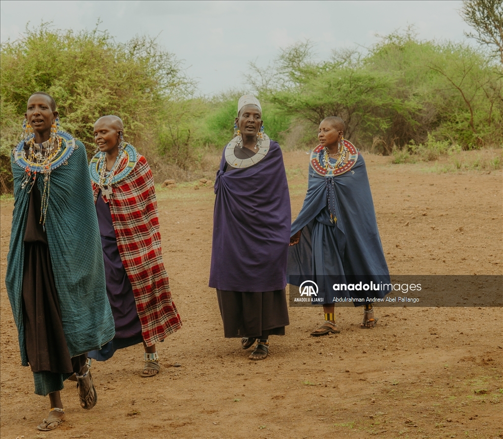 Tanzanya'daki Masai'lerin günlük yaşamı