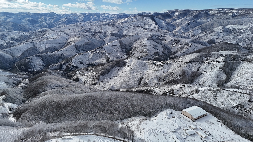 Ordu'da kar yağışı