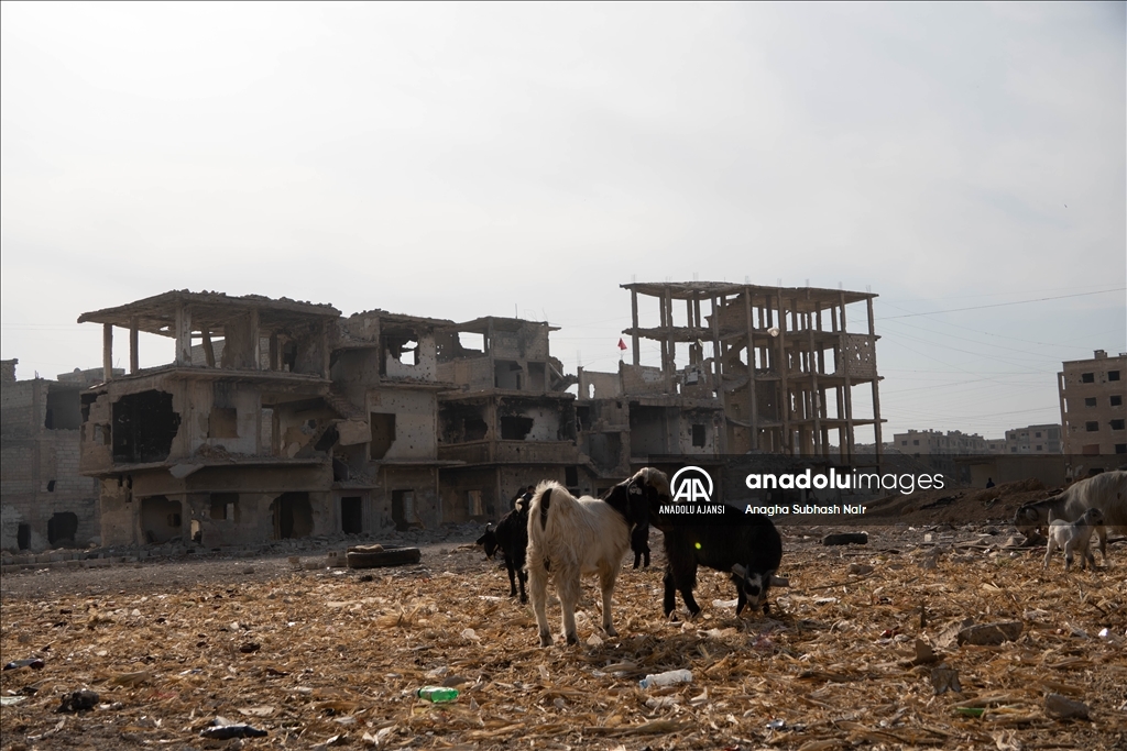 Suriye'deki Yermuk Kampı'nda halk yaralarını sarmaya çalışıyor