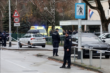 Нападение с ножом на школу в Хорватии