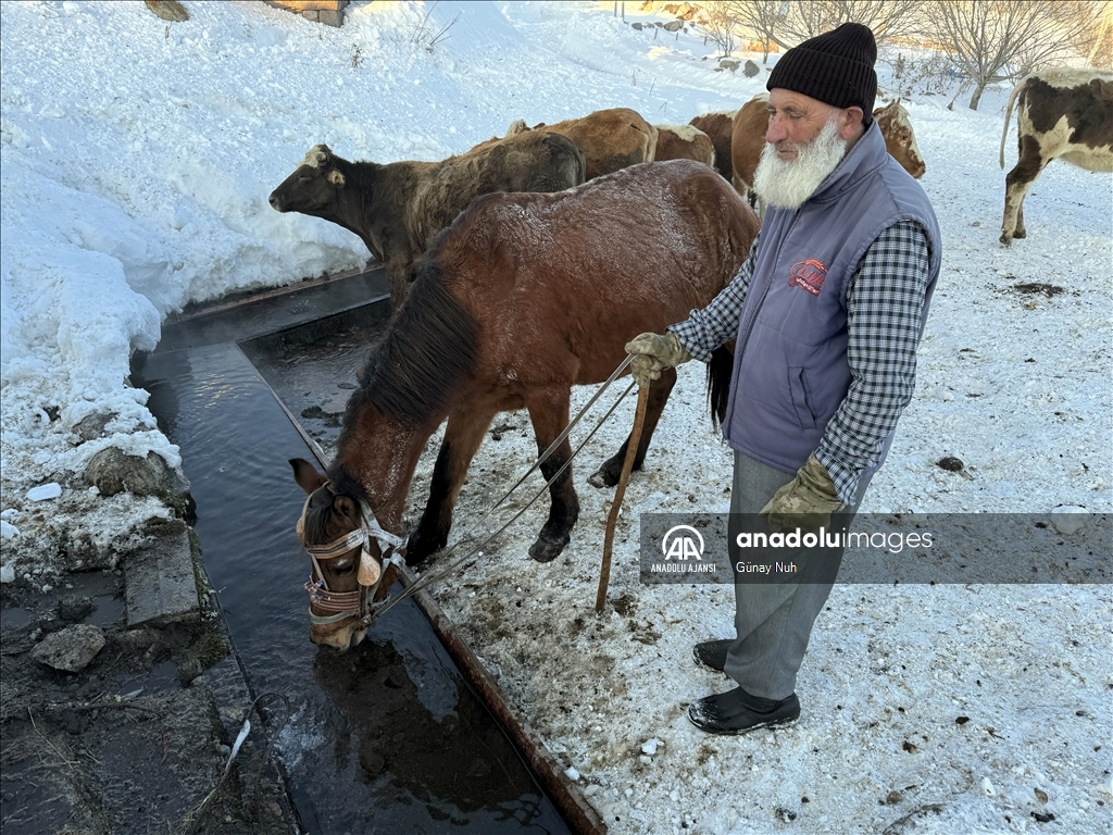 Ardahan'da soğuk hava