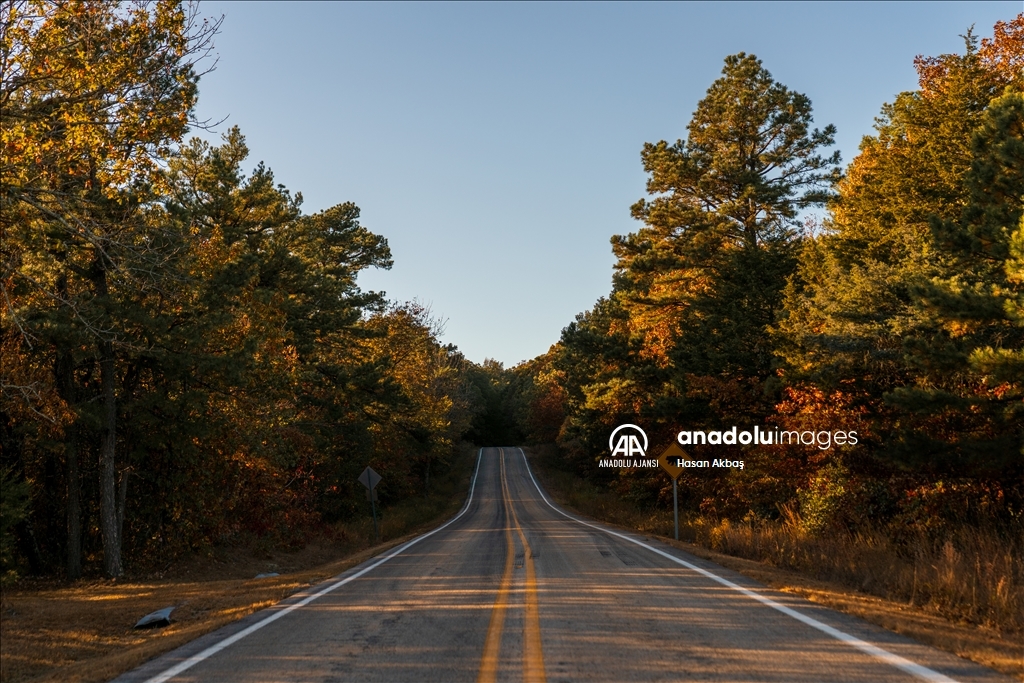 Arkansas’ın en yüksek noktası Magazine Mountain