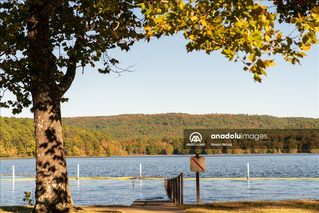 Arkansas’ın en yüksek noktası Magazine Mountain