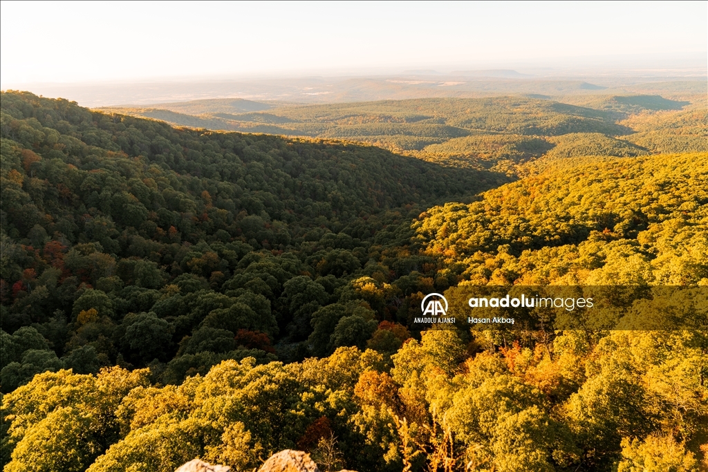 Arkansas’ın en yüksek noktası Magazine Mountain