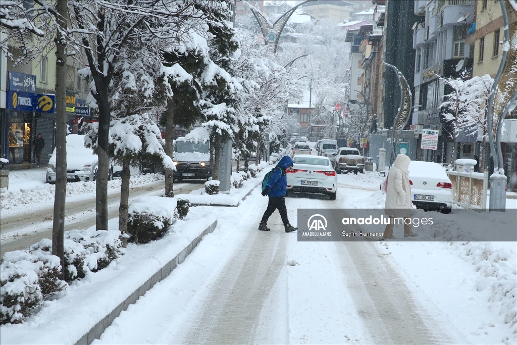 Hakkari'de kar etkili oldu