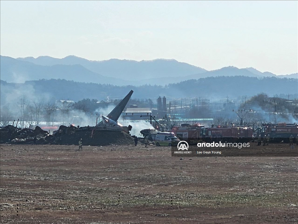 В Южной Корее при посадке разбился пассажирский самолет, погибли 174 человека