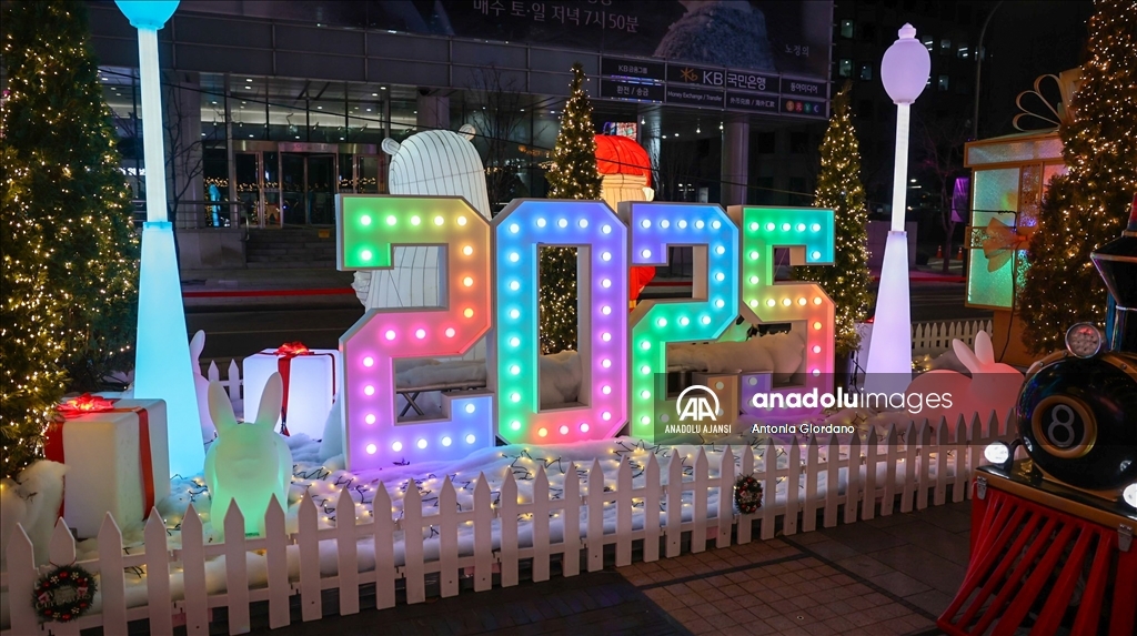 2024 Seul Fener Festivali