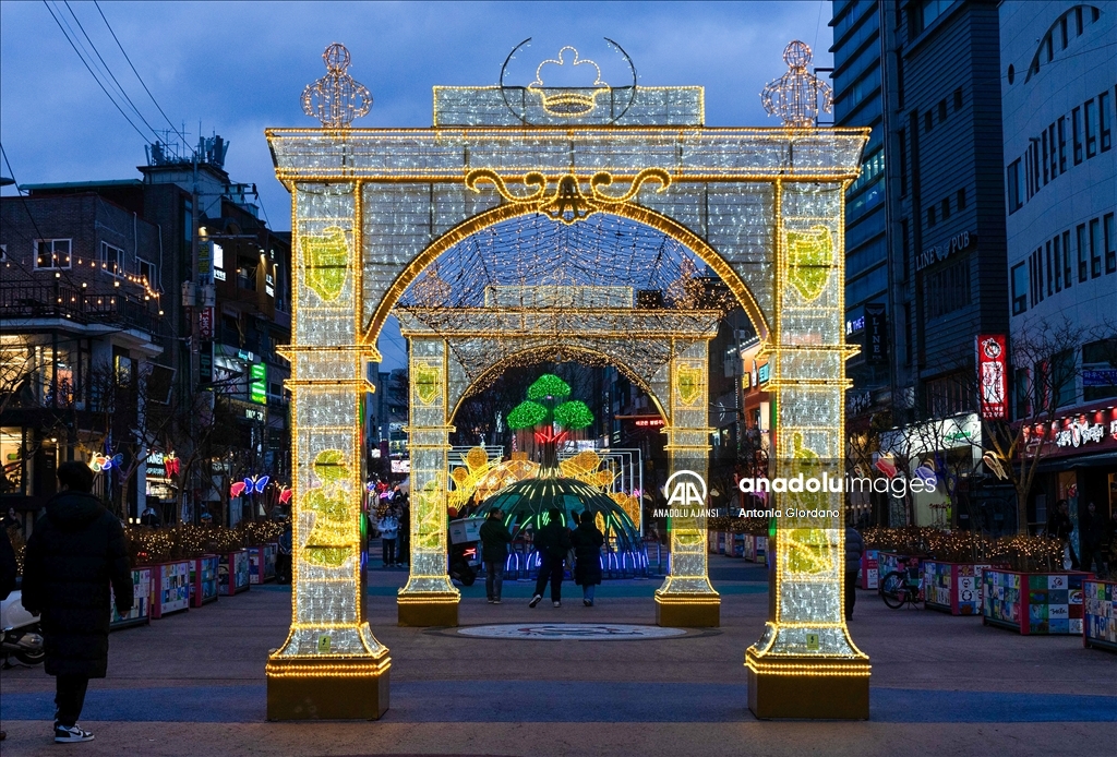 2024 Seul Fener Festivali