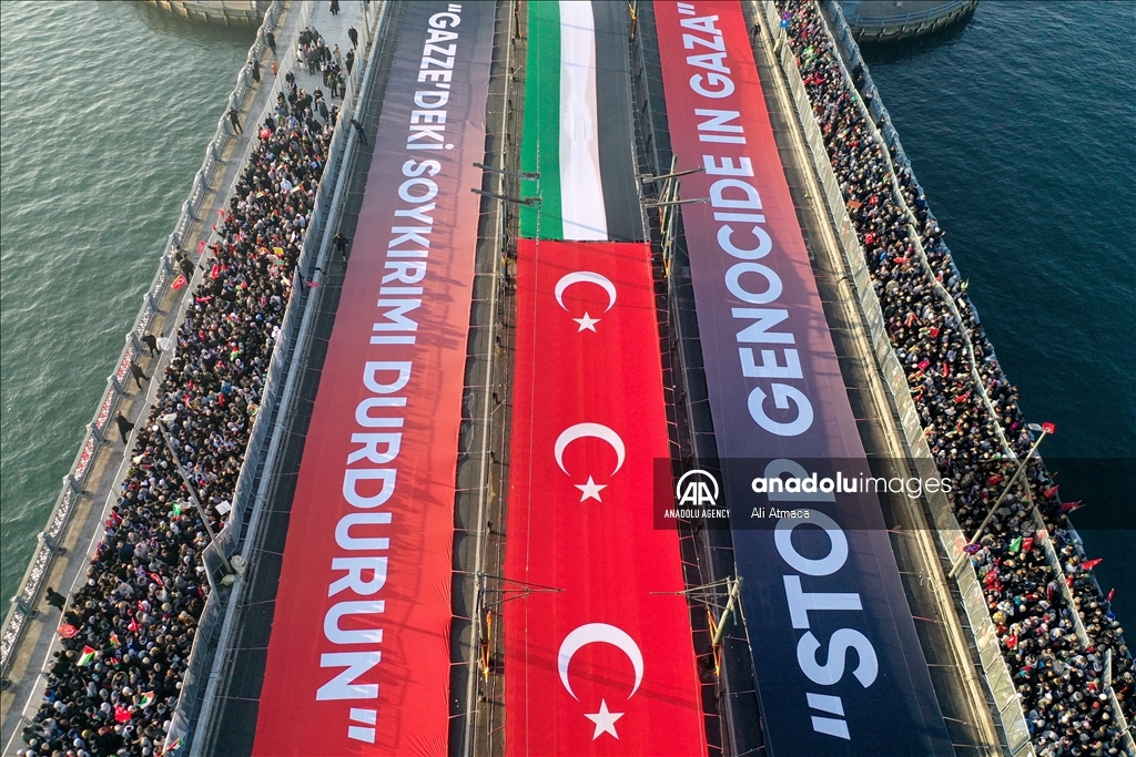 Desetine hiljada na skupu podrške Palestini u Istanbulu prvog dana Nove godine