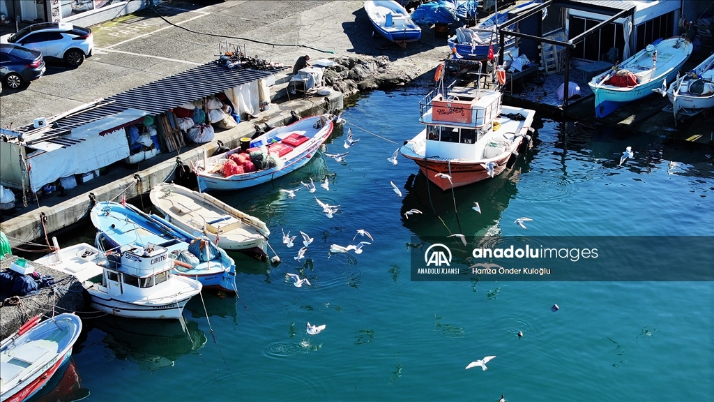 Trabzon'da güneşli hava