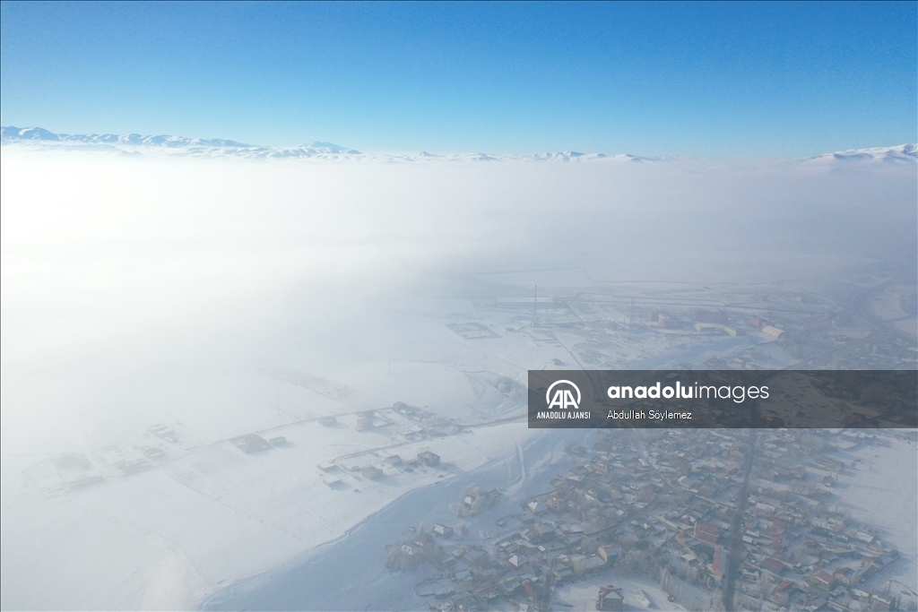 Ağrı'da ağaçlar kırağıyla kaplandı