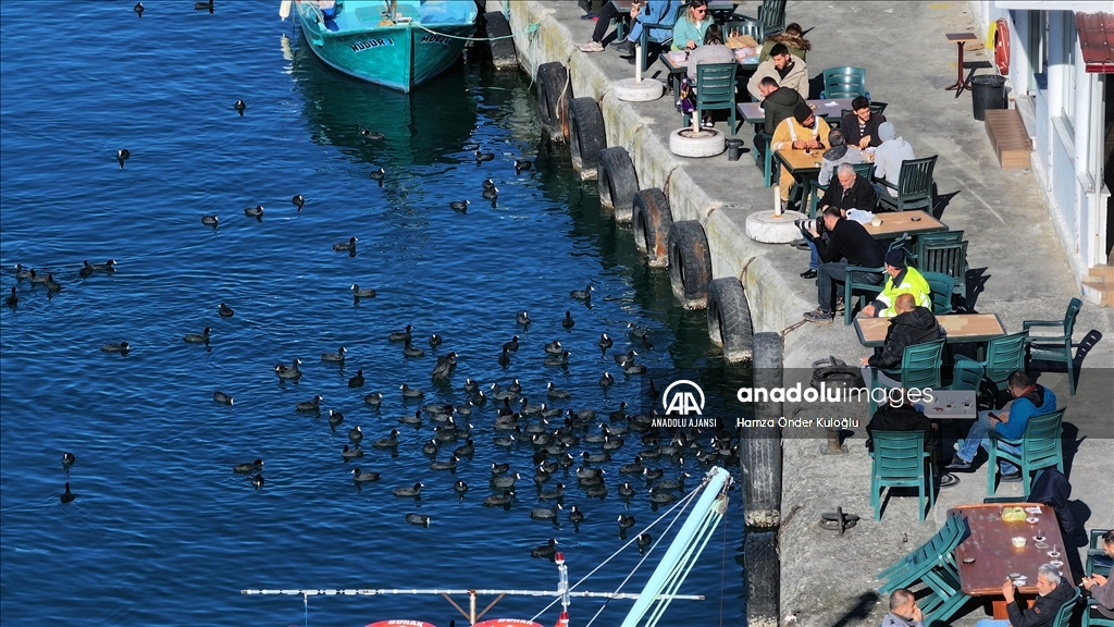 Trabzon'da güneşli hava