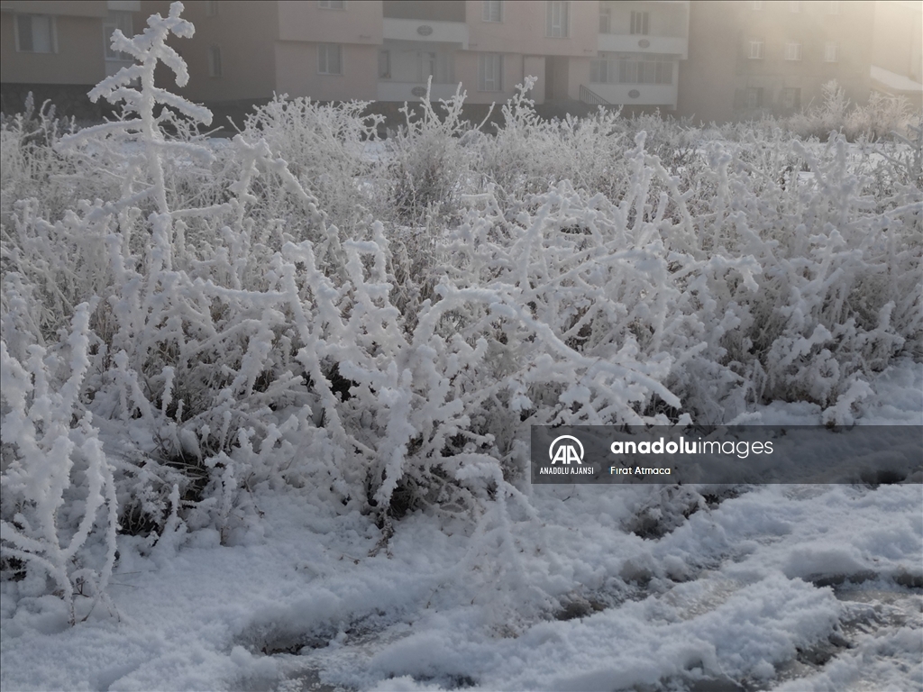 Ağrı'da dondurucu soğuklar etkisini sürdürüyor