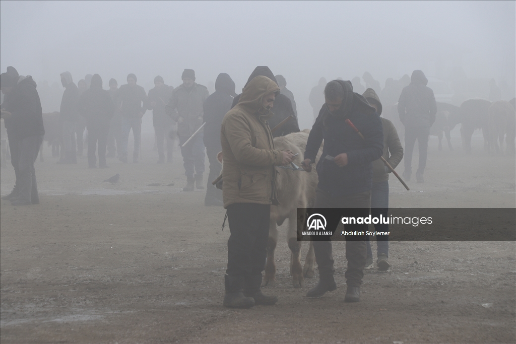 Ağrı'da dondurucu soğuklar etkisini sürdürüyor