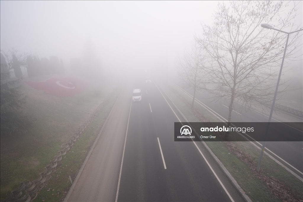 Düzce'de sis etkili oldu