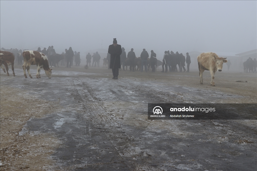Ağrı'da dondurucu soğuklar etkisini sürdürüyor