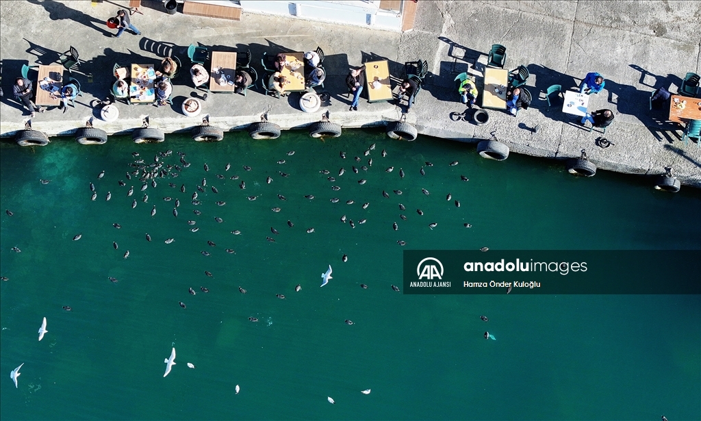 Trabzon'da güneşli hava