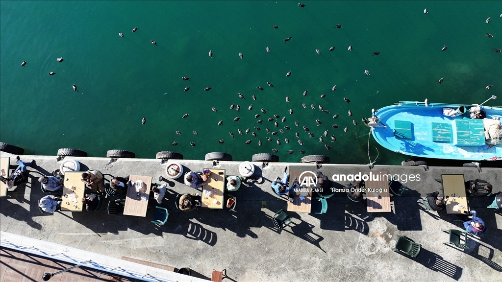 Trabzon'da güneşli hava