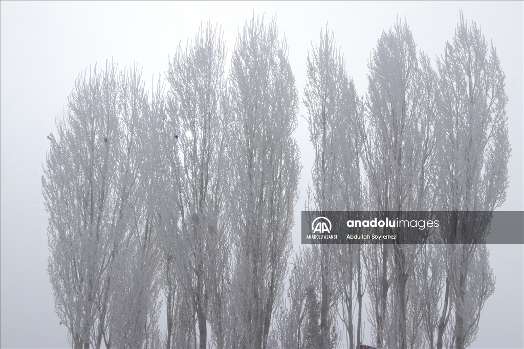 Ağrı'da dondurucu soğuklar etkisini sürdürüyor