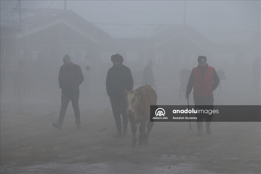 Ağrı'da dondurucu soğuklar etkisini sürdürüyor