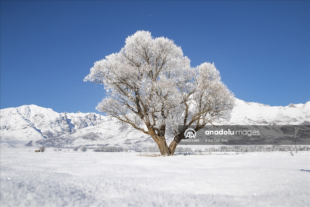 Tunceli'de soğuk hava etkili oluyor