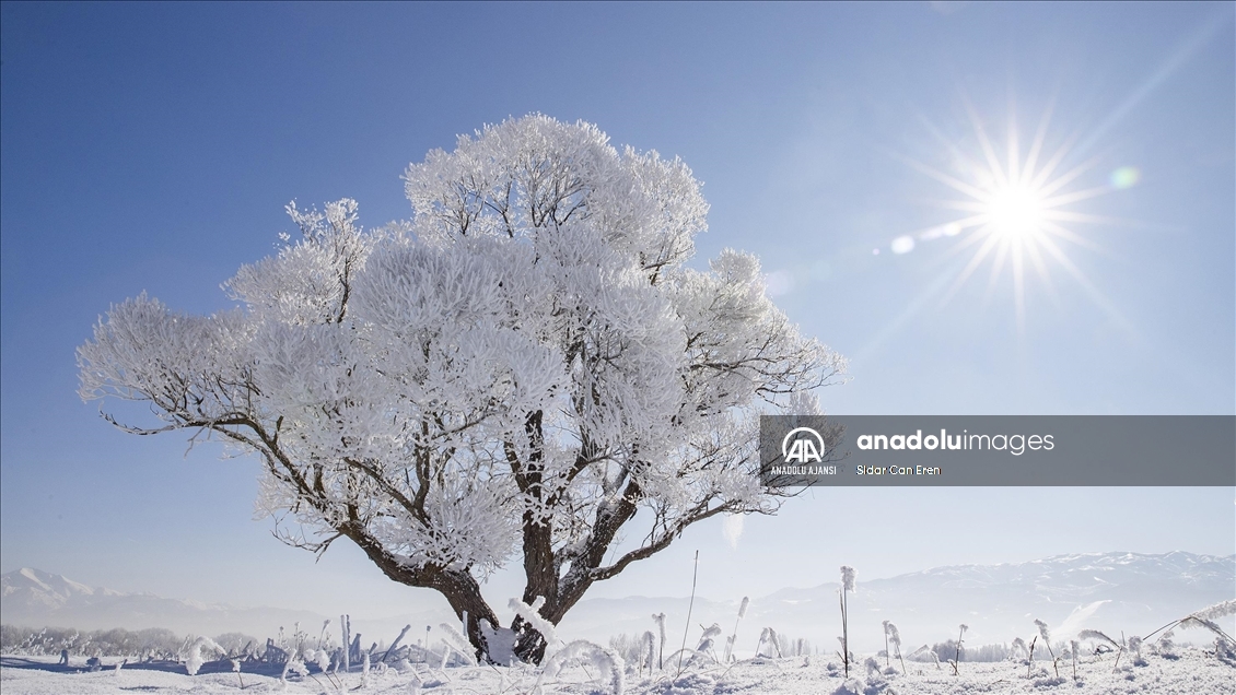 Tunceli'de soğuk hava etkili oluyor