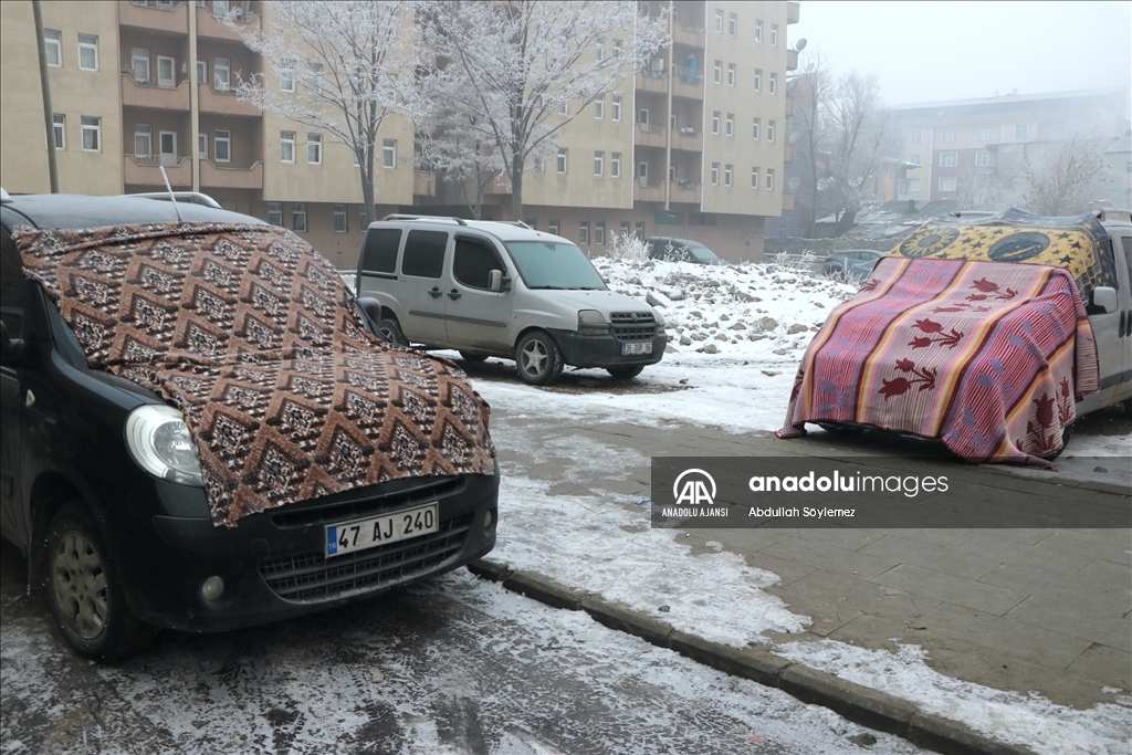 Ağrı'da dondurucu soğuk nedeniyle vatandaşların kaş ve kirpiklerinde kırağı oluştu