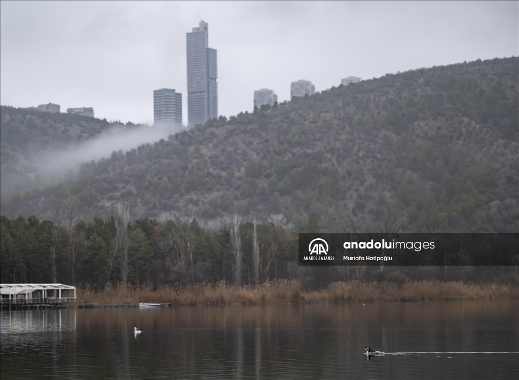 Ankara'da günlük yaşam