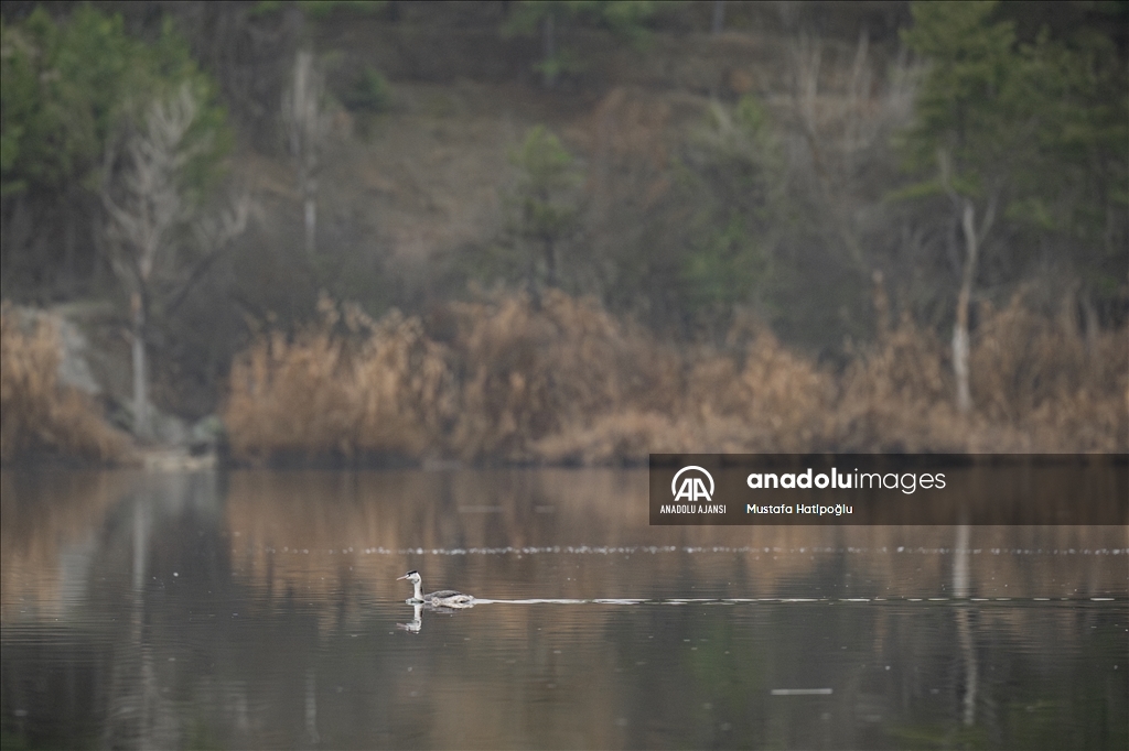 Ankara'da günlük yaşam