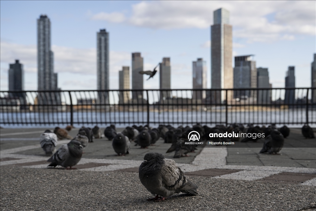 New York'ta soğuk hava etkisini gösteriyor