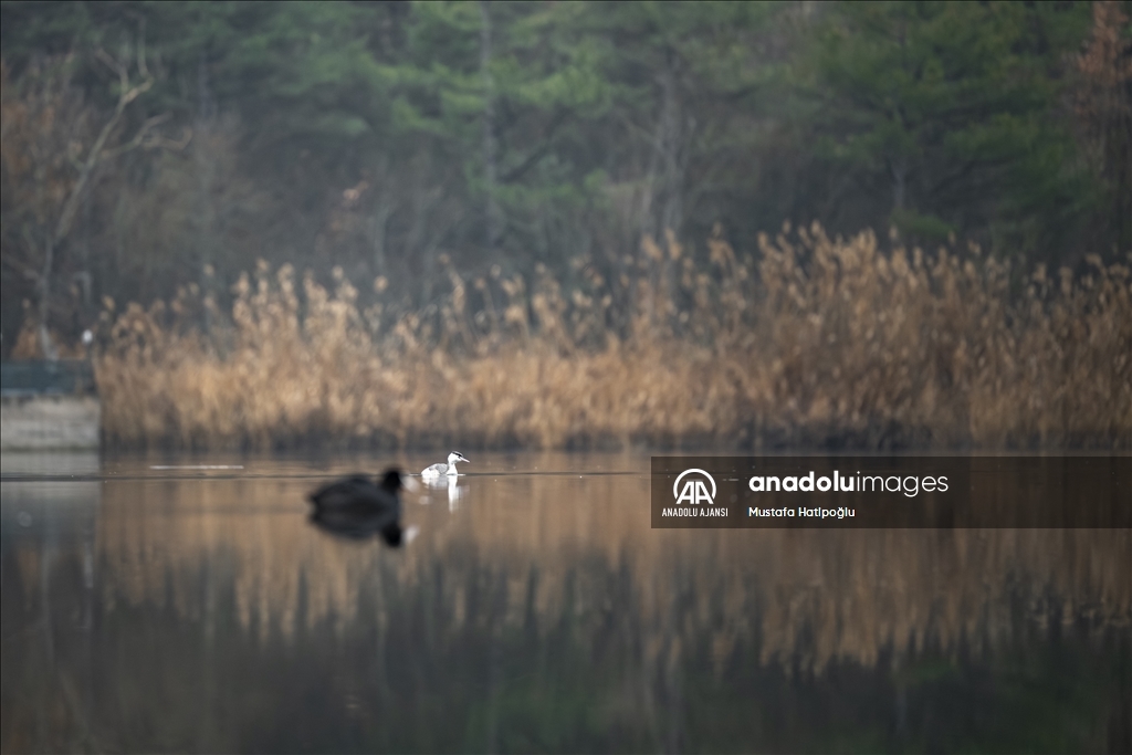 Ankara'da günlük yaşam